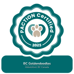 paction-certification-badge